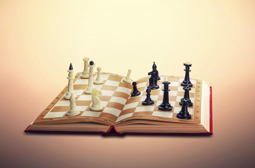Drive Charity Today: How Chess, Books, and Animal Welfare Can Change Lives